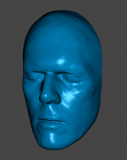Face scan