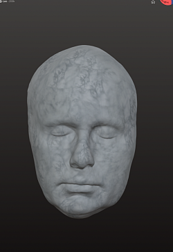 Printed face