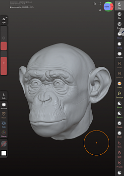 3D sculpture using digital software